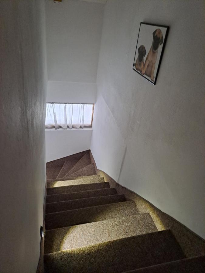 Sofi Apartment Nis Ngoại thất bức ảnh